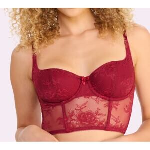 NWT Your Parade That Lace Bustier | That Lace (Vampire Kiss) size-S